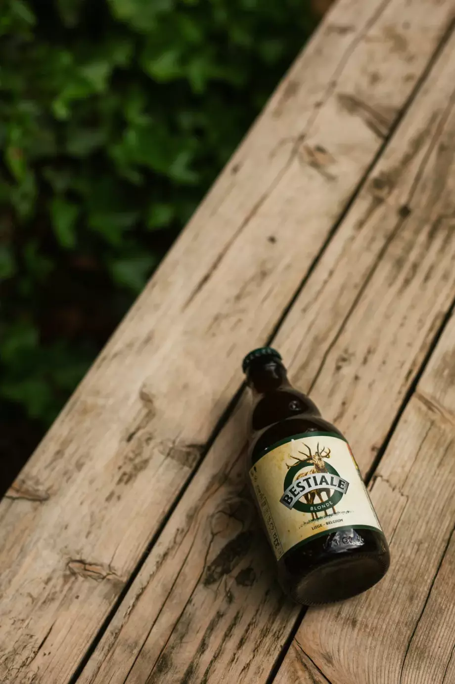 Soirée de lancement de la bière Bestiale