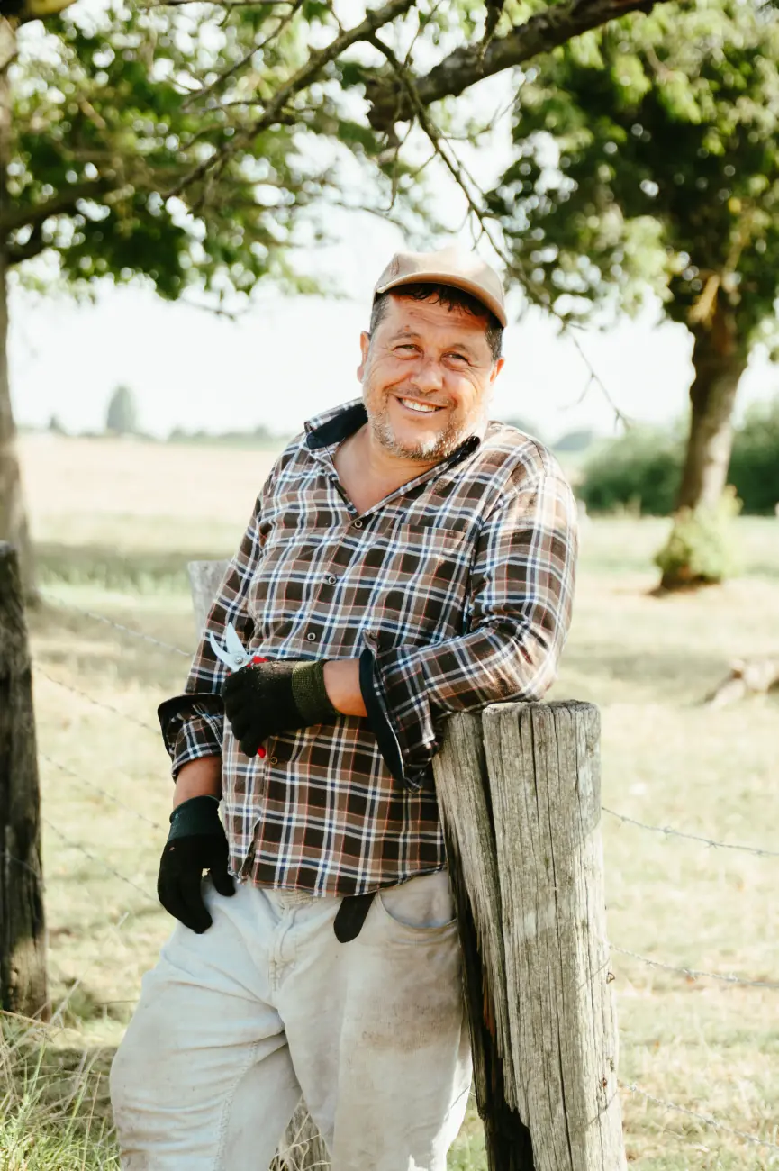 Vendanges chez Vin de Liège, coopérative viticole liégeoise