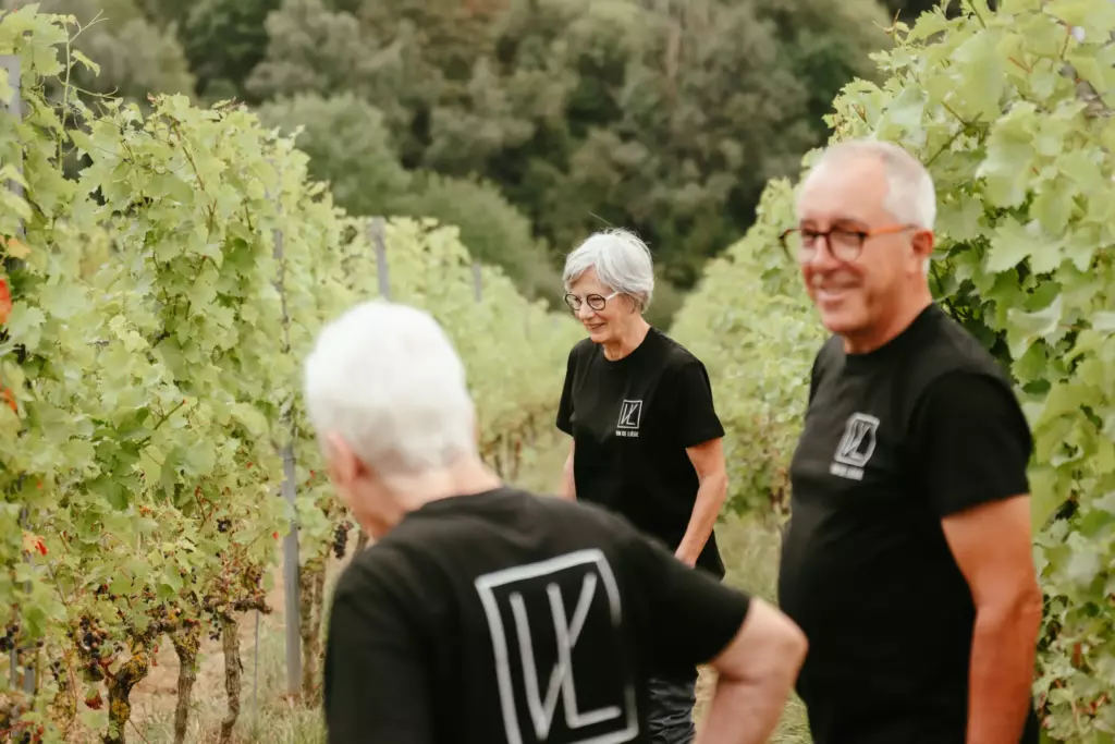 Vendanges chez Vin de Liège, coopérative viticole liégeoise