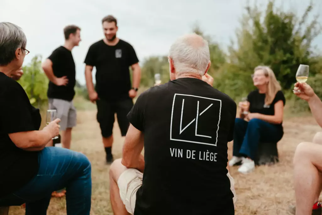 Vendanges chez Vin de Liège, coopérative viticole liégeoise