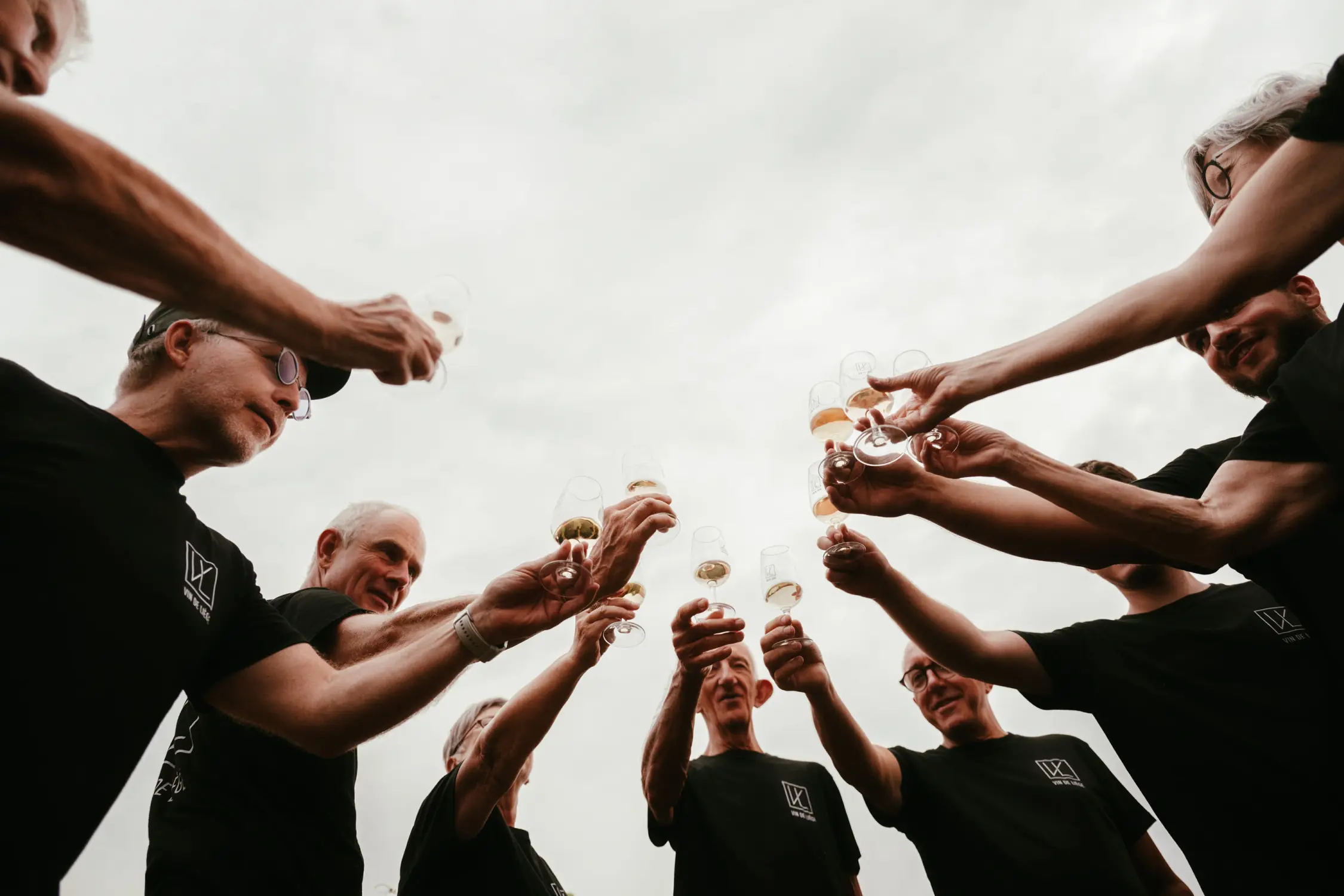 Vendanges chez Vin de Liège, coopérative viticole liégeoise