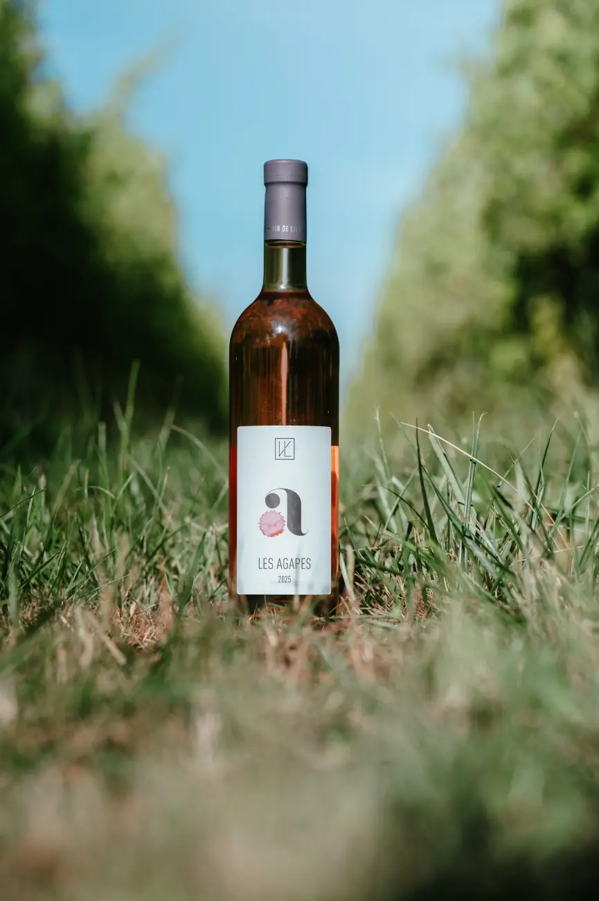 Bouteille de Vin de Liège dans les vignes