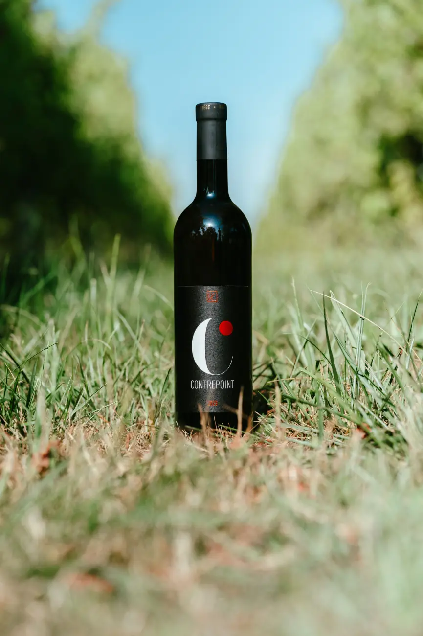Bouteille de Vin de Liège dans les vignes