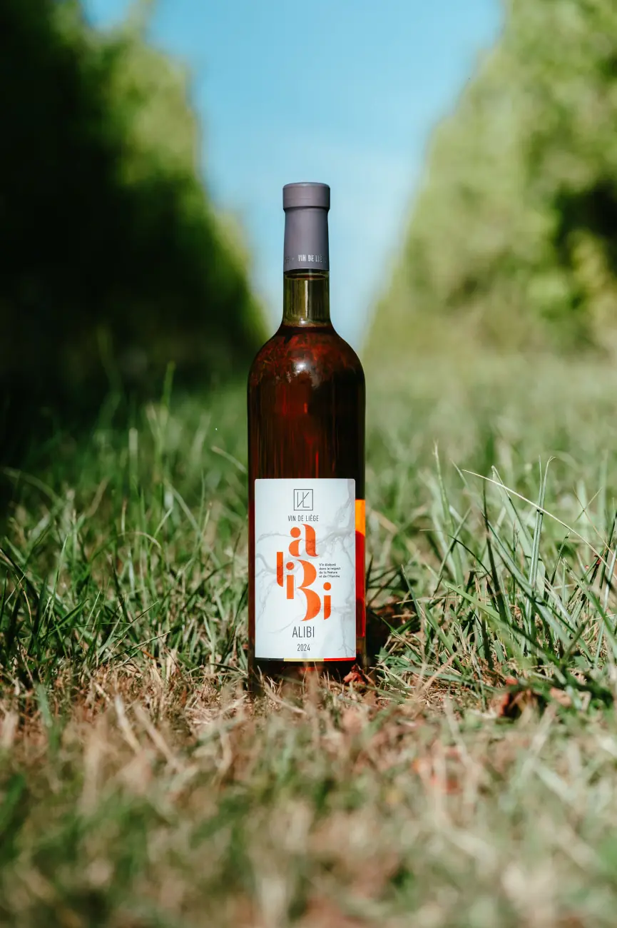 Bouteille de Vin de Liège dans les vignes