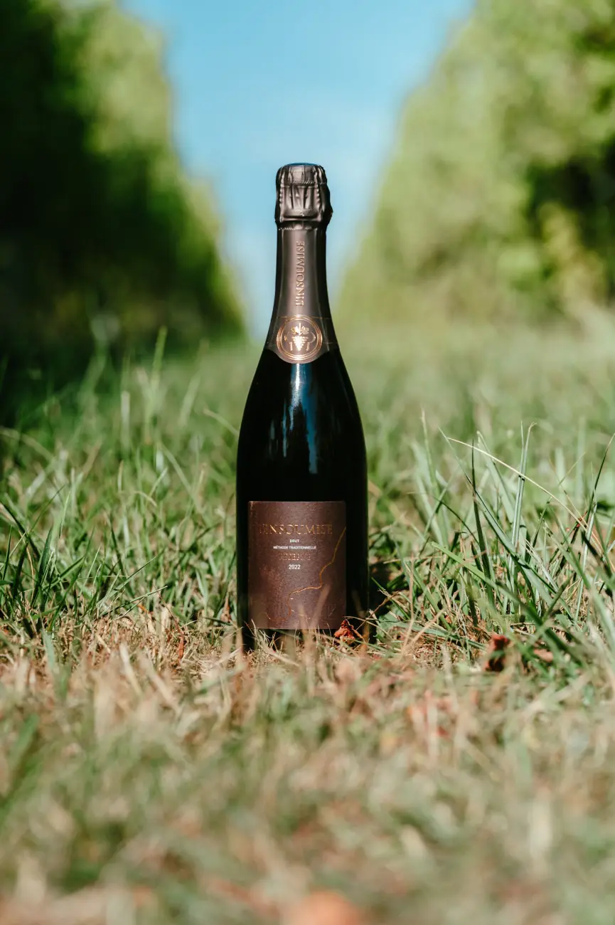 Bouteille de Vin de Liège dans les vignes