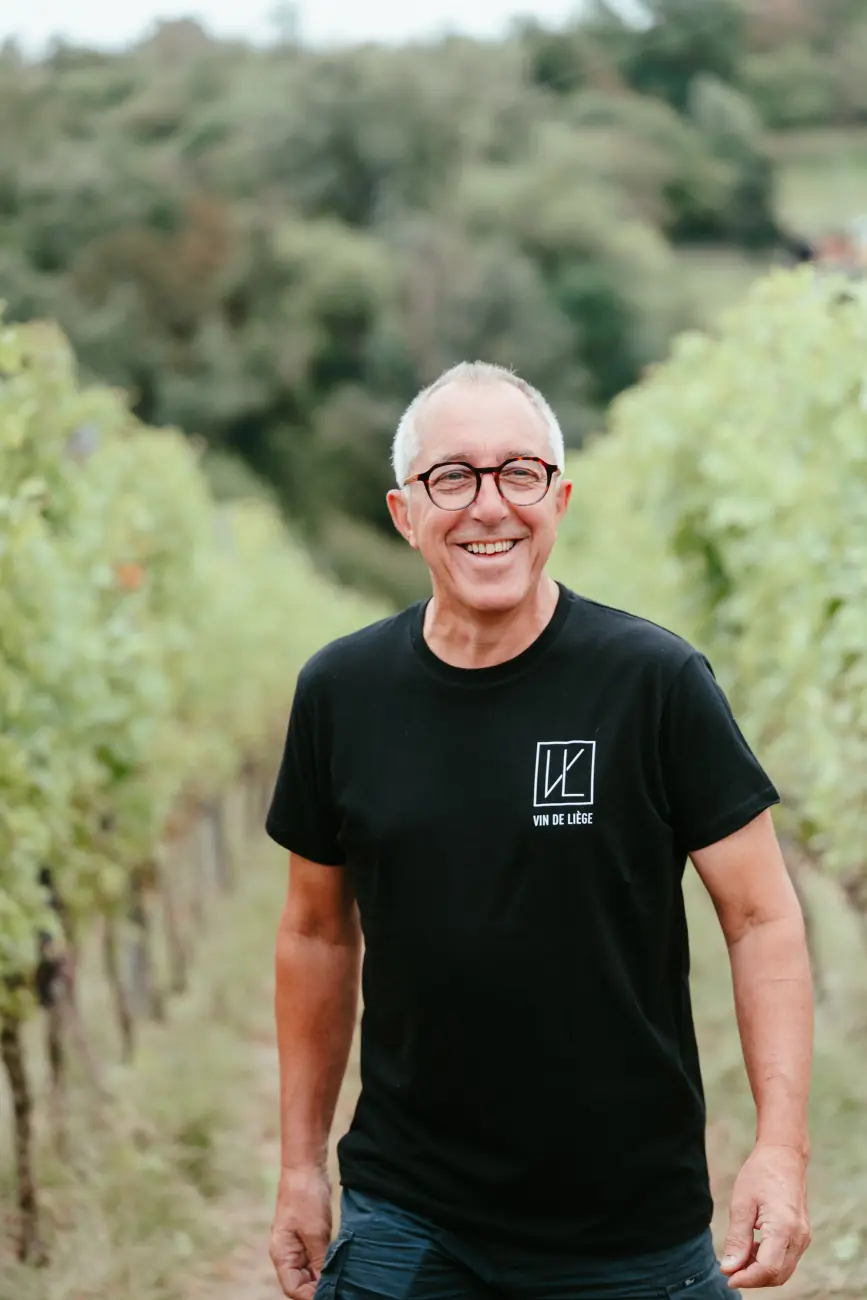 Les vignes de Vin de Liège