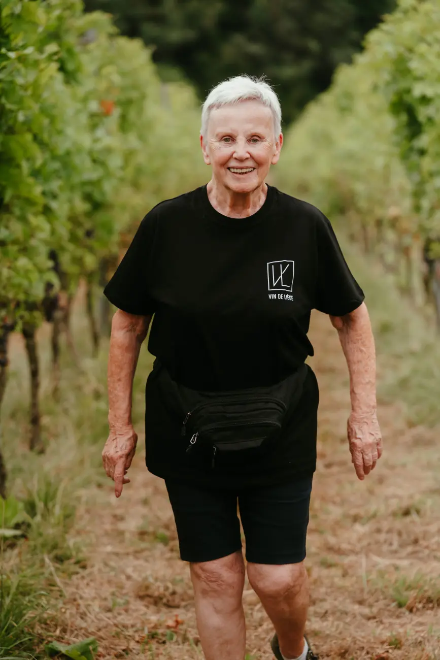 Les vignes de Vin de Liège
