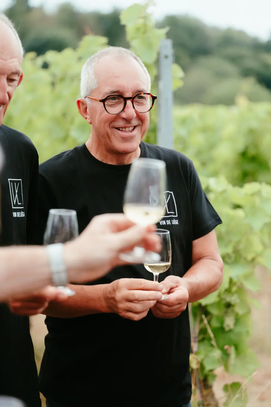 Vendanges chez Vin de Liège, coopérative viticole liégeoise