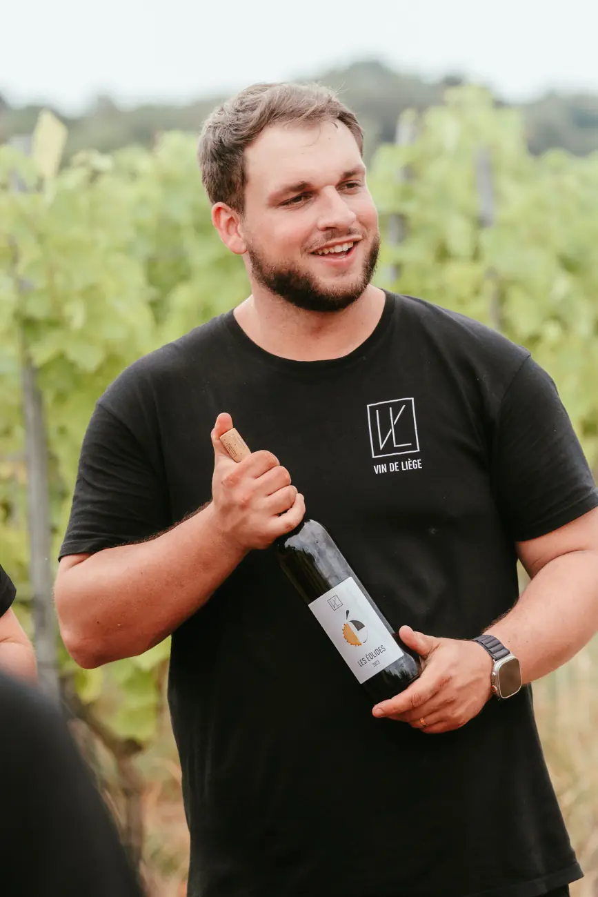Vendanges chez Vin de Liège, coopérative viticole liégeoise